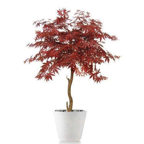 Planta semi-artificiala Ila, Maple Topiary Burgundy - 120 cm